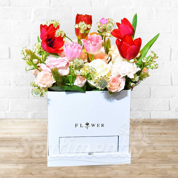 Magical Beauty Box