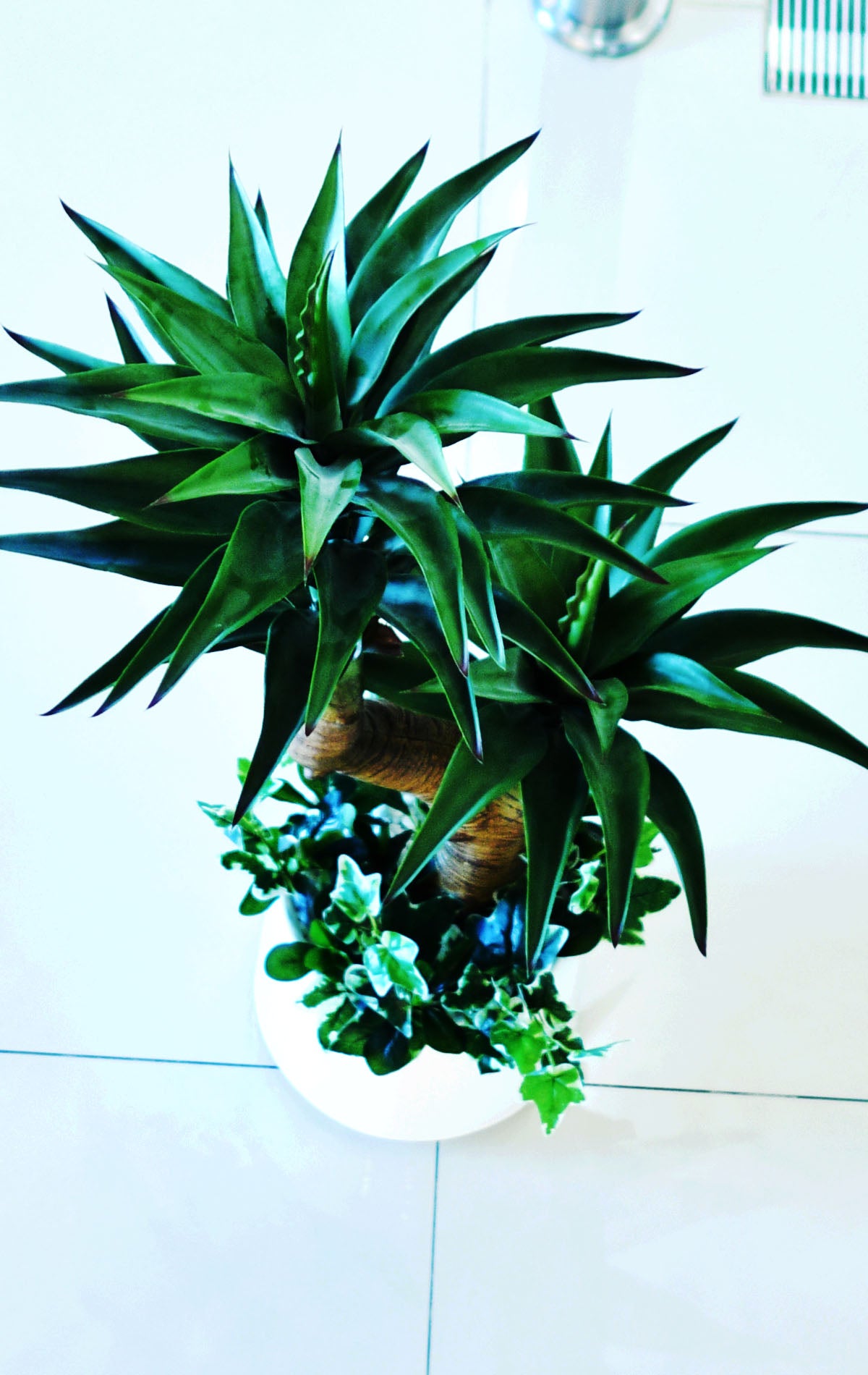 Artificial Yucca Plant - Home / Office Decor