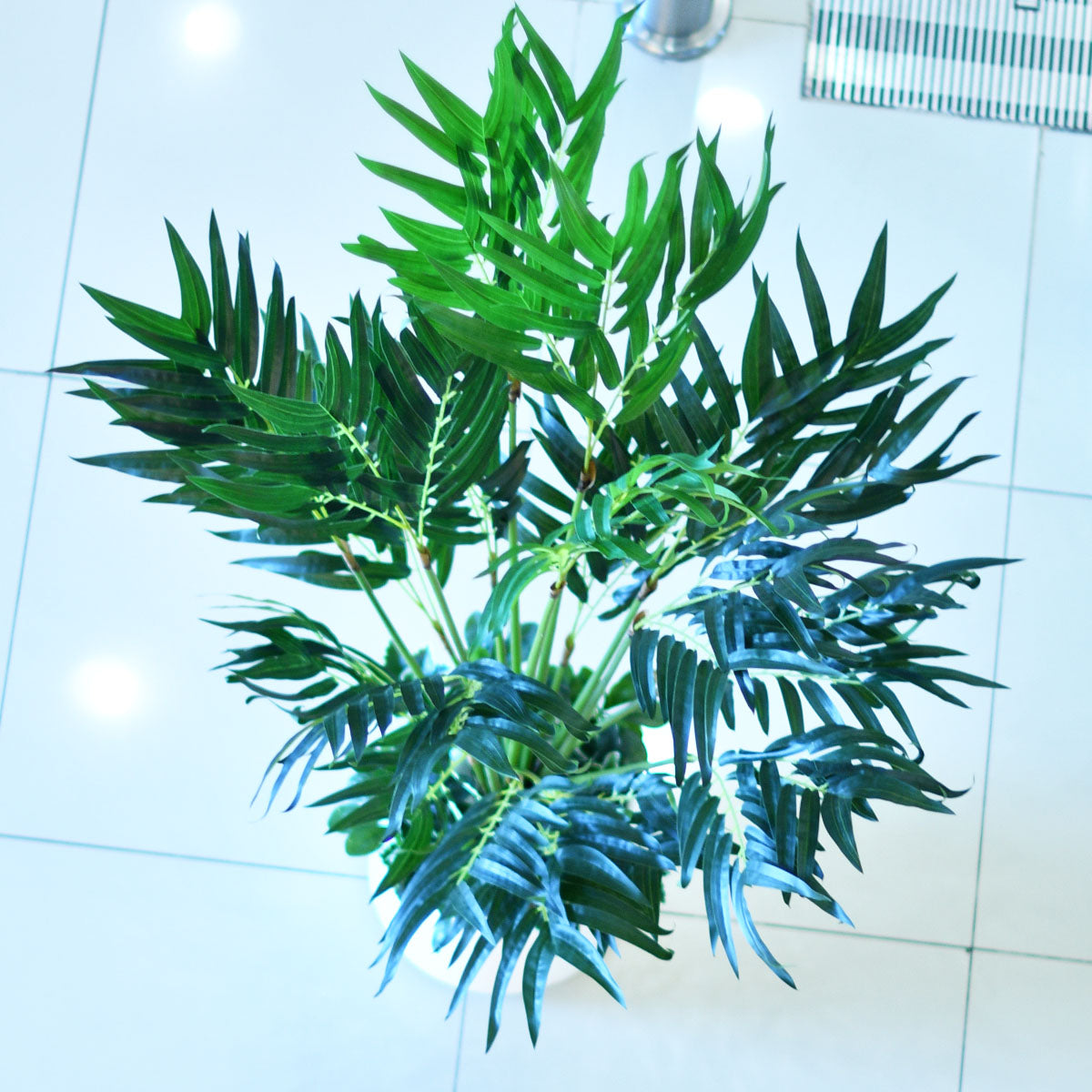Artificial Kentia Palm - Home / Office Decor