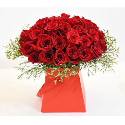 Red Roses Beauty